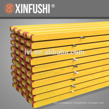 China pine H20 beam